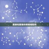 属猪和属猪的婚姻相配吗，属鼠的和属猪的相配吗