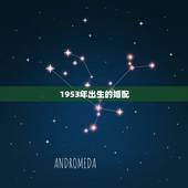 1953年出生的婚配，1953年4月15号出生的男和1966年11月2