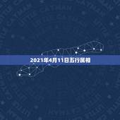 2021年4月11日五行属相，2021年什么命五行属性