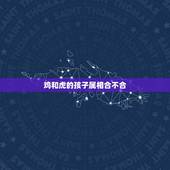鸡和虎的孩子属相合不合，属虎和属鸡能合得来吗