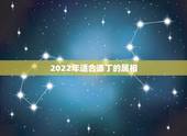 2022年适合添丁的属相，2023年黑兔年大灾难