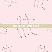 阴历12月14日属相是什么，农历12月14日是属于什么星座