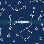 什么动物最怕蛇，什么动物吃蛇