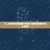 十二生肖配对婚姻配对查询 结婚属相相冲怎么回避
