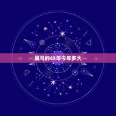 属马的65年今年多大，属马的年龄表