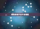 哪些属相不合不宜婚配，十二生肖中，那些属相最不适宜结婚？