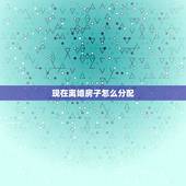 现在离婚房子怎么分配，问下离婚房产怎么分配。男的婚前贷款买房，现在要离