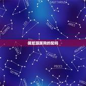 属蛇跟属狗的配吗，属蛇的和属狗的婚姻相配吗