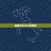 鼠遇牛年2022年好吗，2022年天秤座彻底大爆发