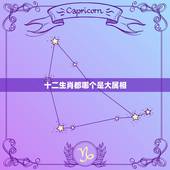 十二生肖都哪个是大属相，什么是大生肖？