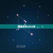 蛇遇虎年2022年，虎年蛇运势2022年运程