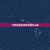 78年农历五月的马是什么命，78年属马是什么命