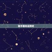 属牛哪年运势好，属牛星期几运气更好
