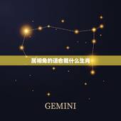属相兔的适合戴什么生肖，生肖兔与什么生肖最配对？什么生肖最旺兔？