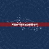 男鼠女羊婚配能白头偕老吗，跪求男鼠女羊婚配幸福的案例！
