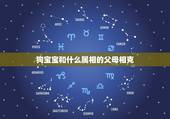 狗宝宝和什么属相的父母相克，属狗最忌生啥属相宝宝
