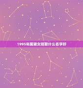 1995年属猪女孩取什么名字好，95年属猪的和什么属相犯冲