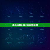 牛年运势2022年运势属猴，1992年女猴2022年运气