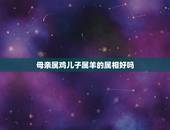 母亲属鸡儿子属羊的属相好吗，父母都属羊，如果生个属鸡的小孩好吗