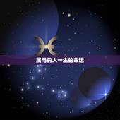 属马的人一生的命运，78年属马人一生命运是怎么样的