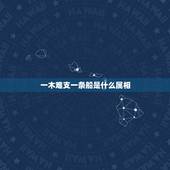 一木难支一条船是什么属相，关于四大名著的成语 最好说出出自哪一部