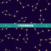 八字合婚麦玲玲，麦玲玲看宋慧乔面相