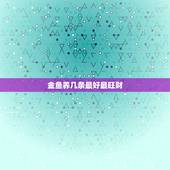 金鱼养几条最好最旺财，养鱼养招财适合养几条好？