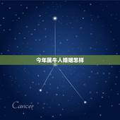 今年属牛人婚姻怎样，牛人见牛年运程