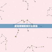 属鼠婚姻配属什么更佳，属鼠的女性婚配和哪些最配