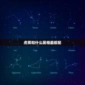 虎男和什么属相最般配，属虎的男找什么属相好