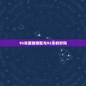 95年属猪婚配与92年的好吗，90年属马男的和95年属猪女配吗？
