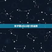双子男2022年7月运势，双子座2021年每月运势