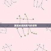 属鼠的遇到属马的领导，老板属马员工属鼠好不好