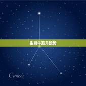 生肖牛五月运势，生肖牛2014年12月赌博运势