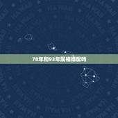 78年和93年属相婚配吗，78年属马金牛座和93年属鸡的处女座配吗？
