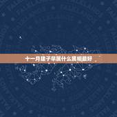 十一月建子早属什么属相最好，十一月份属相是什么
