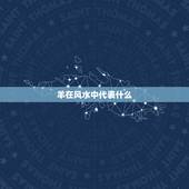 羊在风水中代表什么，羊代表什么象征意义