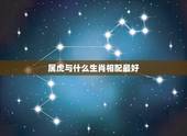 属虎与什么生肖相配最好，生肖配对：属虎的和什么属相最配