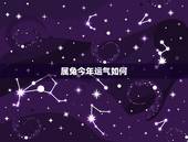 属兔今年运气如何，2022 年生肖兔2月财运如何