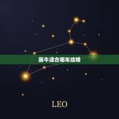 属牛适合哪年结婚，牛结婚最合适什么生肖