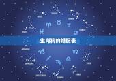 生肖狗的婚配表，属狗的属相婚配表大全 属狗的男女和什么属相最配