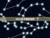 2022双子座的运势，双子座2021年运势如何？
