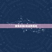 属兔未来5年运势走向，我是1987年属兔想问下明年属兔的运势怎么样？