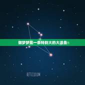 做梦梦见一条特别大的大活鱼，梦见自己抓到一条好大的活鱼