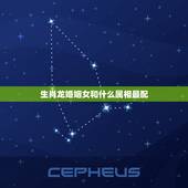 生肖龙婚姻女和什么属相最配，属龙女性的最佳配偶的属相是啥？