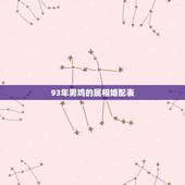 93年男鸡的属相婚配表，93年属鸡男婚配表