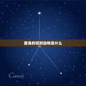 属兔的招财动物是什么，属兔宜带什么