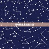 虎年男宝宝起名大全 属虎男宝宝取名字最佳字
