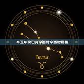 辛丑年癸巳月辛酉时辛酉时属相，我想请懂周易的大师预测一下我的四柱:辛酉