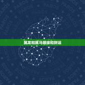 属龙和属马姻缘和财运，88年属龙和属龙的合不合